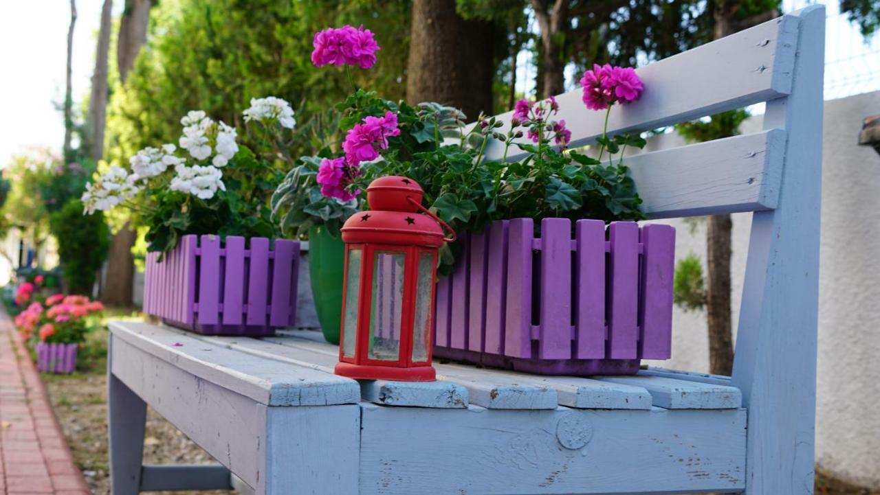 Aparthotel Irem Garden Hotel&apartments 2*